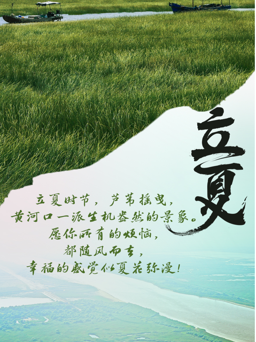 二十四節氣·立夏海報